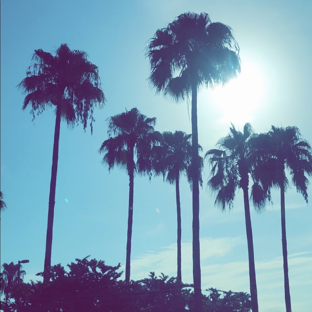 Meet your Posher, Jennifer❤️